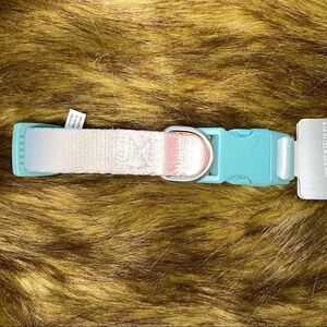 Small dog collar  